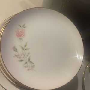 Bristol-fine china dinner plate